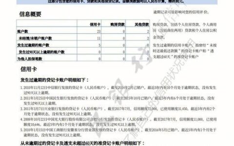 2024负债高征信花直接放款,无视负债征信花百分百能下款的口子