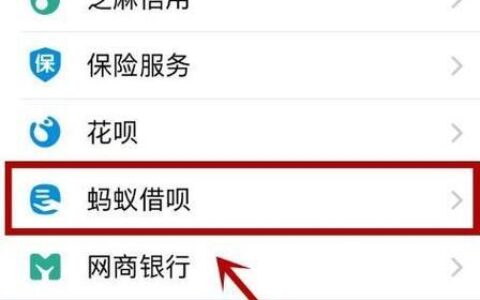 2024不查征信必下款的网贷有哪些？独家整理5个无视征信必下款的网贷口子